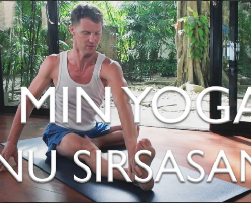 1 Minute Yoga-Janu Sirsasana