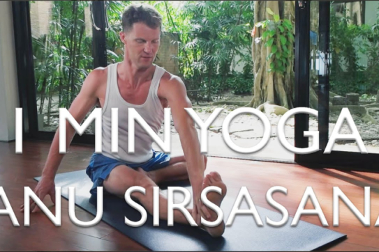 1 Minute Yoga-Janu Sirsasana