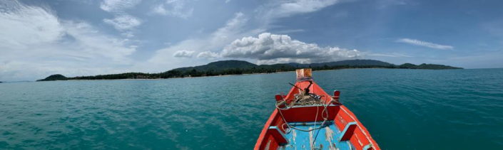 Boat Trip