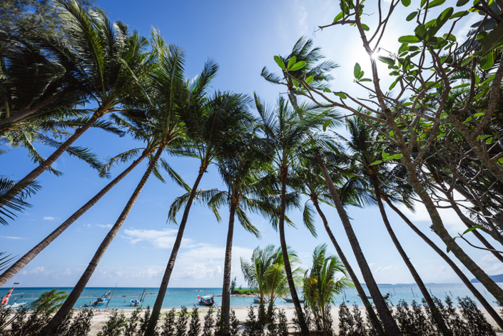 Beachfront-Views