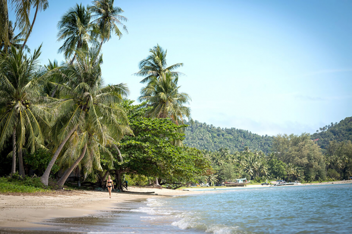 Tropical Beach