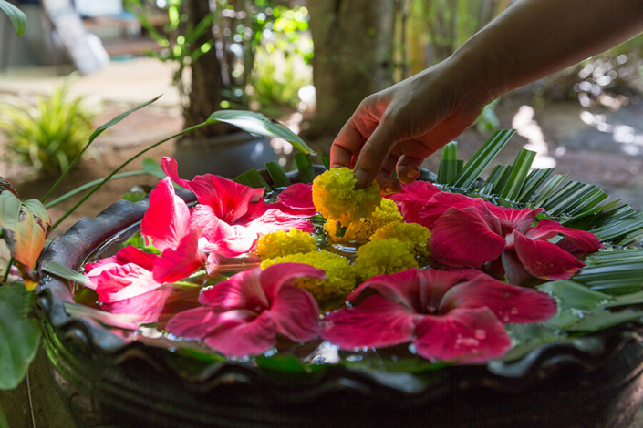 Wellness Flowers